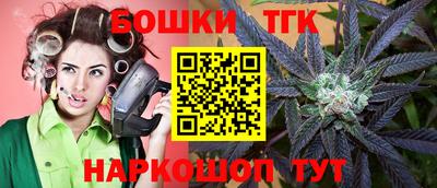 гидра Можга