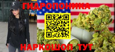 гидра Можга